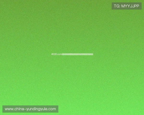 4008.com云顶集团娱乐官方网站的技术支持与客户服务体系详尽介绍