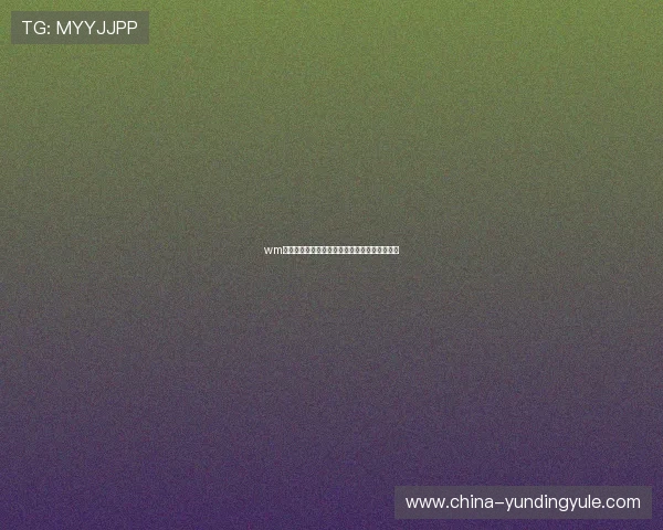 wm真人适合新手玩家吗，入门指南与常见问题解答